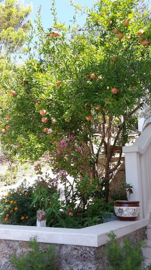 As Brela Ξενοδοχείο Εξωτερικό φωτογραφία