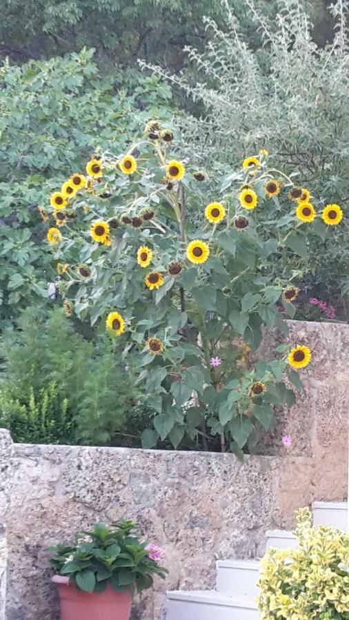 As Brela Ξενοδοχείο Εξωτερικό φωτογραφία